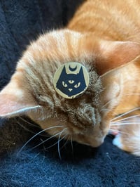 Image 1 of Witch Cat Creative Pins