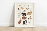 Image of Rabbits Type Print 