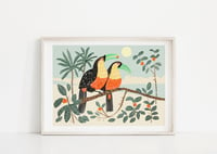 Image of Toucan Bird Print 