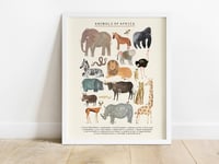 Image of African Animals Continent Print