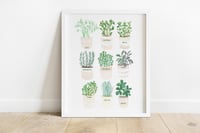 Image of Herb Plant Pot Print 