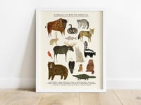 Image of North American Animals Continent Print 