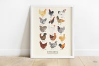 Image of Chickens Type Print 