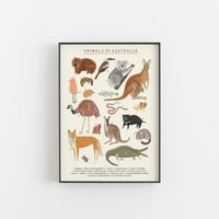 Image of Australian Animals Continent Print 