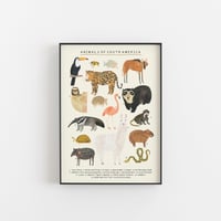 Image of South American Animals Continent Print