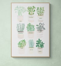 Image of Herb Plant Pot Print 