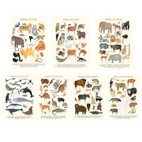 Image of Australian Animals Continent Print 