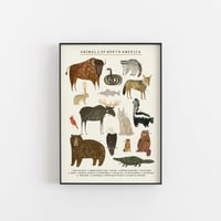 Image of North American Animals Continent Print 