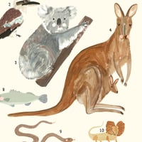 Image of Australian Animals Continent Print 