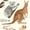 Image of Australian Animals Continent Print 