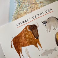 Image of North American Animals Continent Print 