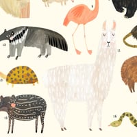 Image of South American Animals Continent Print