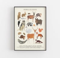 Image of European Animals Continent Print