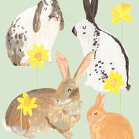 Image of Hoppy Easter Rabbits Card