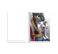 Image 4 of 550BC - FAVELA NARCO PETS III - Signed last one 