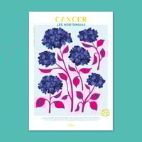 Image 1 of Cancer - Les Hortensias