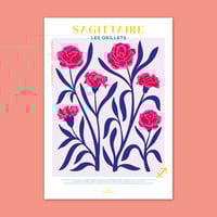 Image 1 of Sagittaire - Les Oeillets