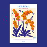 Image 1 of Verseau - Les Orchidées