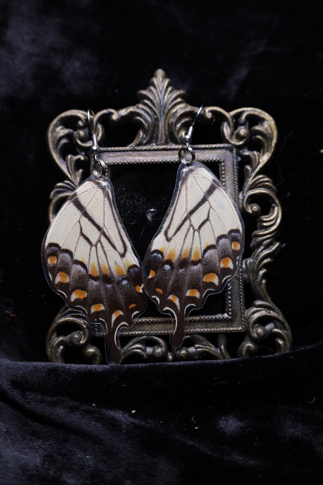Tiger Swallowtail Earrings