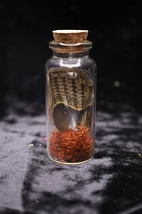 Peanut Owl Moth Wing Jar