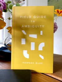 Image 2 of Field Guide to Ambiguity  