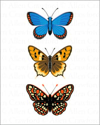 A Wild Promise: Karner Blue, Hermes Copper, and Bay Checkerspot