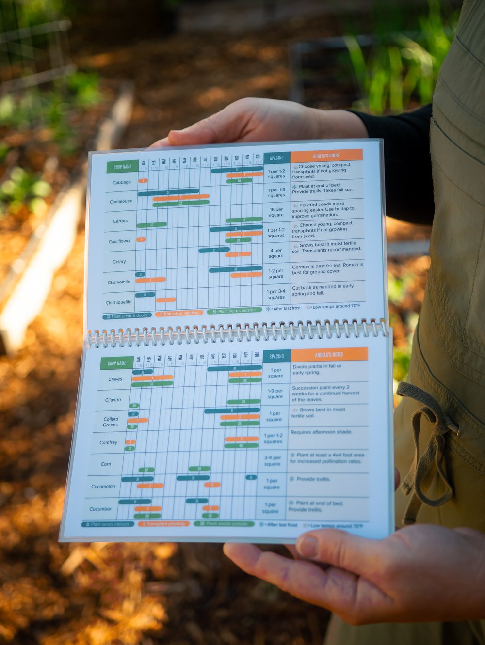 VEGETABLE GARDEN GROWING GUIDE visual data 2