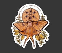 'Seeking Light' Sticker 