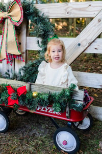 Image 4 of 3 Sets in 1 - Holiday Mini Sessions - Sunday 12/3