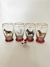 Dog Shot Glasses 