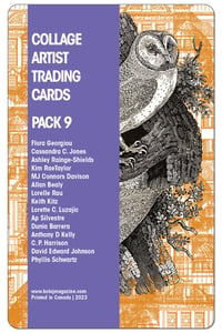 Kasini House Artshop — Collage Artist Trading Cards, Pack One