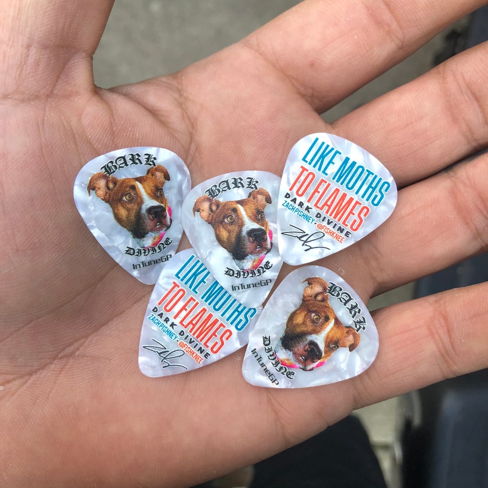 Bark Divine