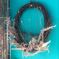 Dried Dill Herb + Poppy Wreath | Local Boulder Mkt