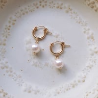 Image 1 of Freshwater Pearl Huggies | Type A