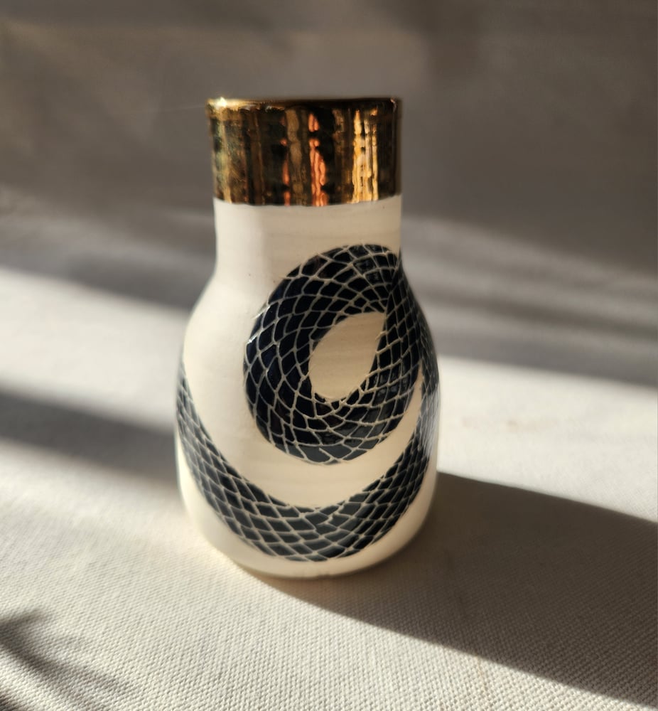 Image of Snake-wrapped bottle 1