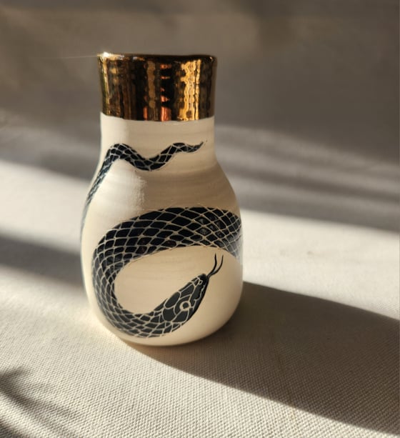 Image of Snake-wrapped bottle 1