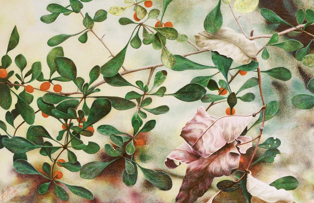 Image of Barberry with Beech Leaves - Berberis: Wax Pastel, 1991 framed