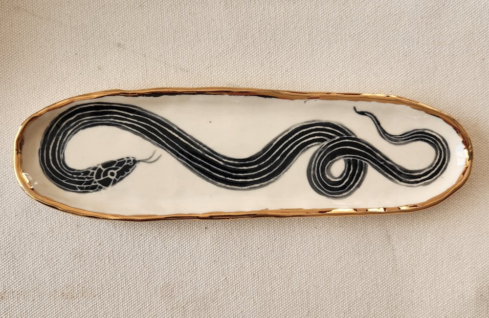 Image of Narrow lined snake dish