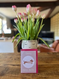 Image 1 of Sassy Since Birth Greeting Card