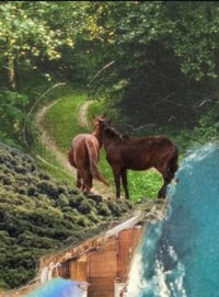 Image 4 of Custom Collage Work 