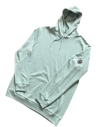 Image 2 of Richards Hoodie in Fresh sage