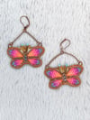 Halle's Butterflies