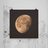 Moon Print Poster 14x14”