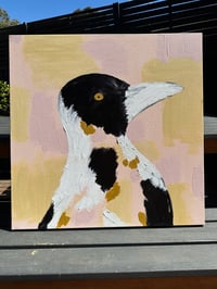 Image 1 of Bobby the big magpie