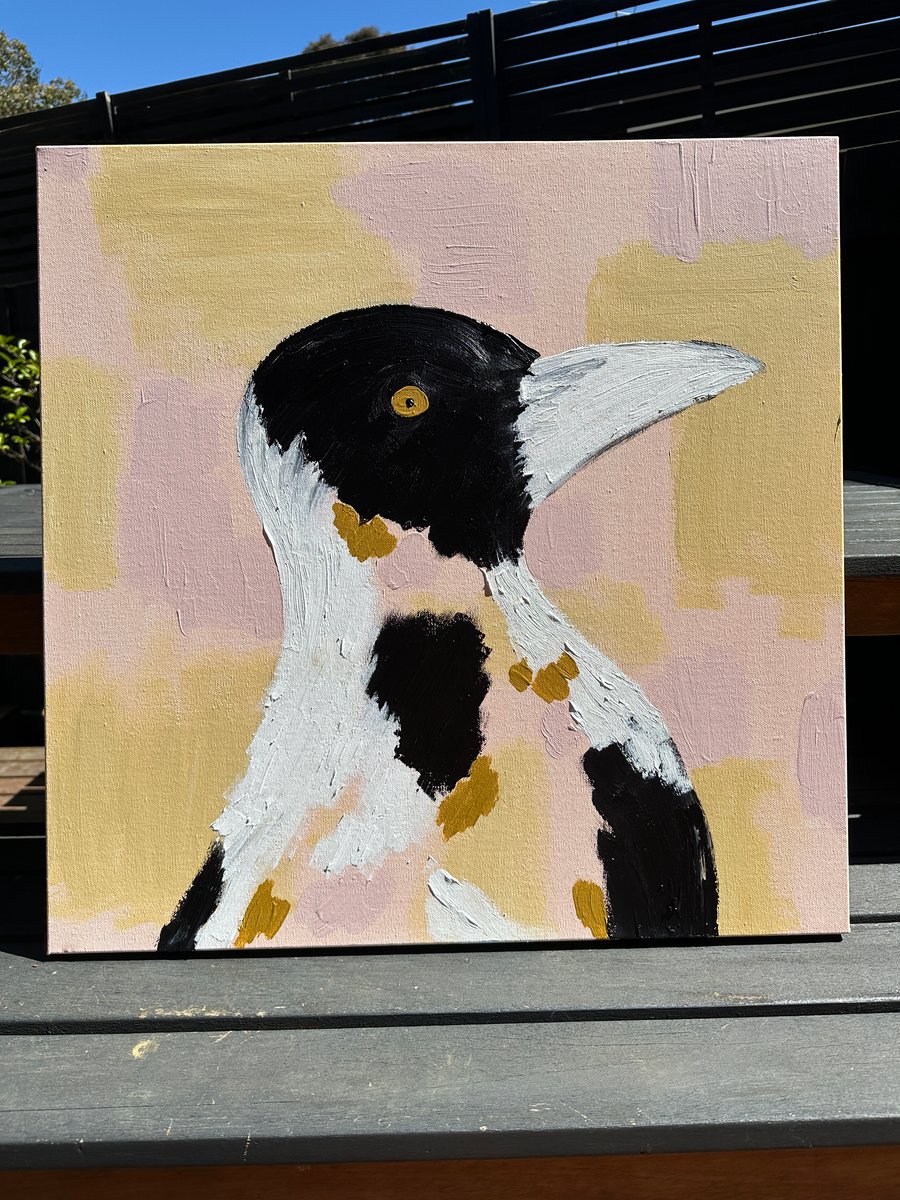 Image of Bobby the big magpie