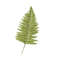 Image 3 of FERN BLANK CARD