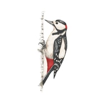 Image 3 of WOODPECKER BLANK CARD