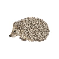 Image 3 of HEDGEHOG BLANK CARD