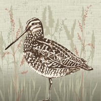 Image 3 of SNIPE GREETING CARD