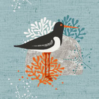 Image 4 of OYSTER CATCHER SEASIDE GREETING CARD